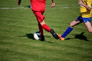 爱游戏体育在线app-篮球训练计划科学制定与执行效果评估，篮球训练计划制定与范例